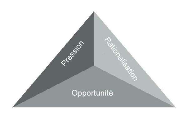 Le triangle de la fraude : Ce qui favorise et fait prospérer la fraude dans les entreprises, les administrations et institutions publiques et dans les organisations à but non lucratif